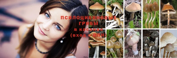 спиды Лиски