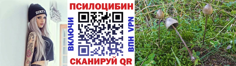 Галлюциногенные грибы мицелий Щигры