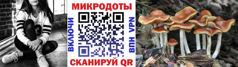 Галлюциногенные грибы мицелий  Щигры 